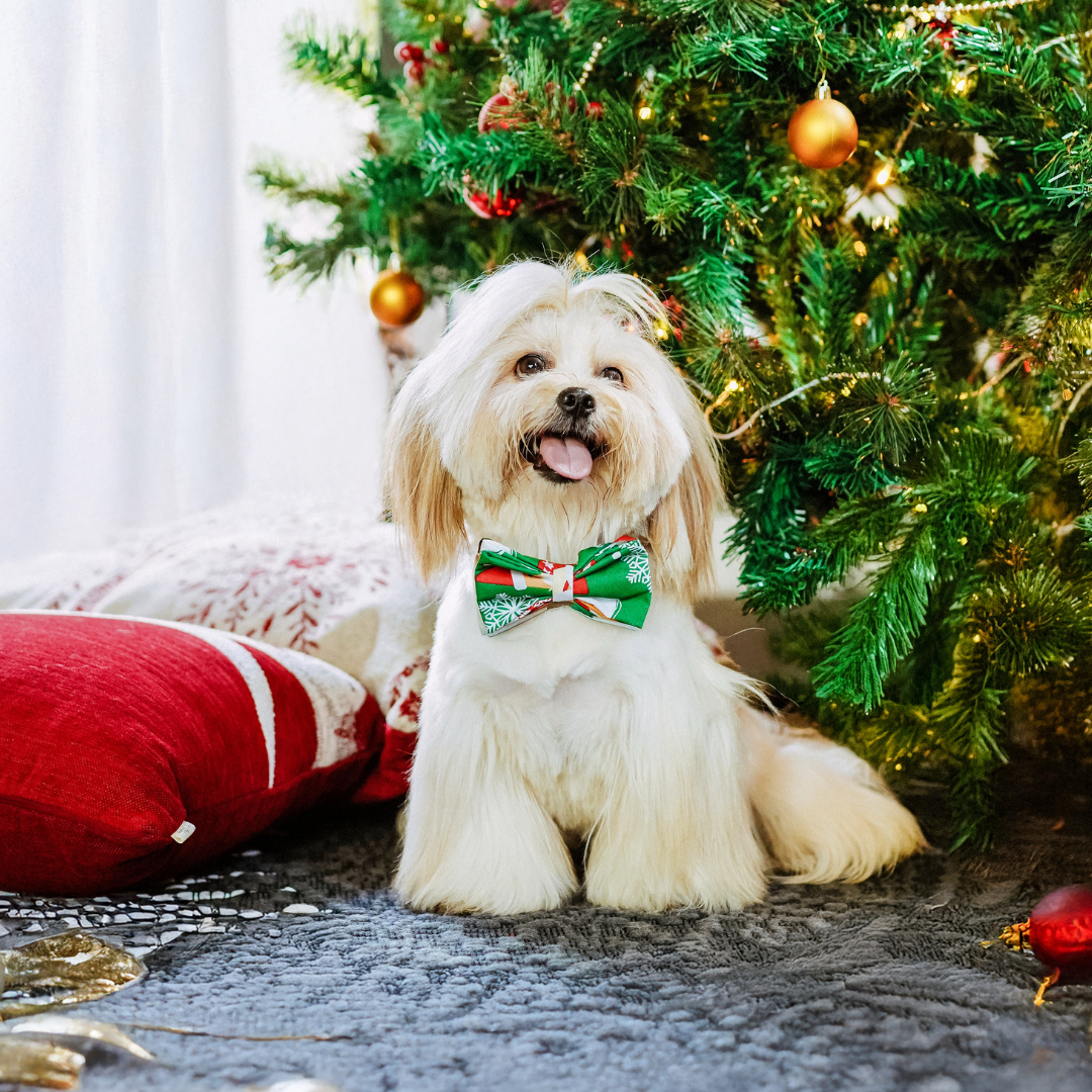 Christmas Bow Tie