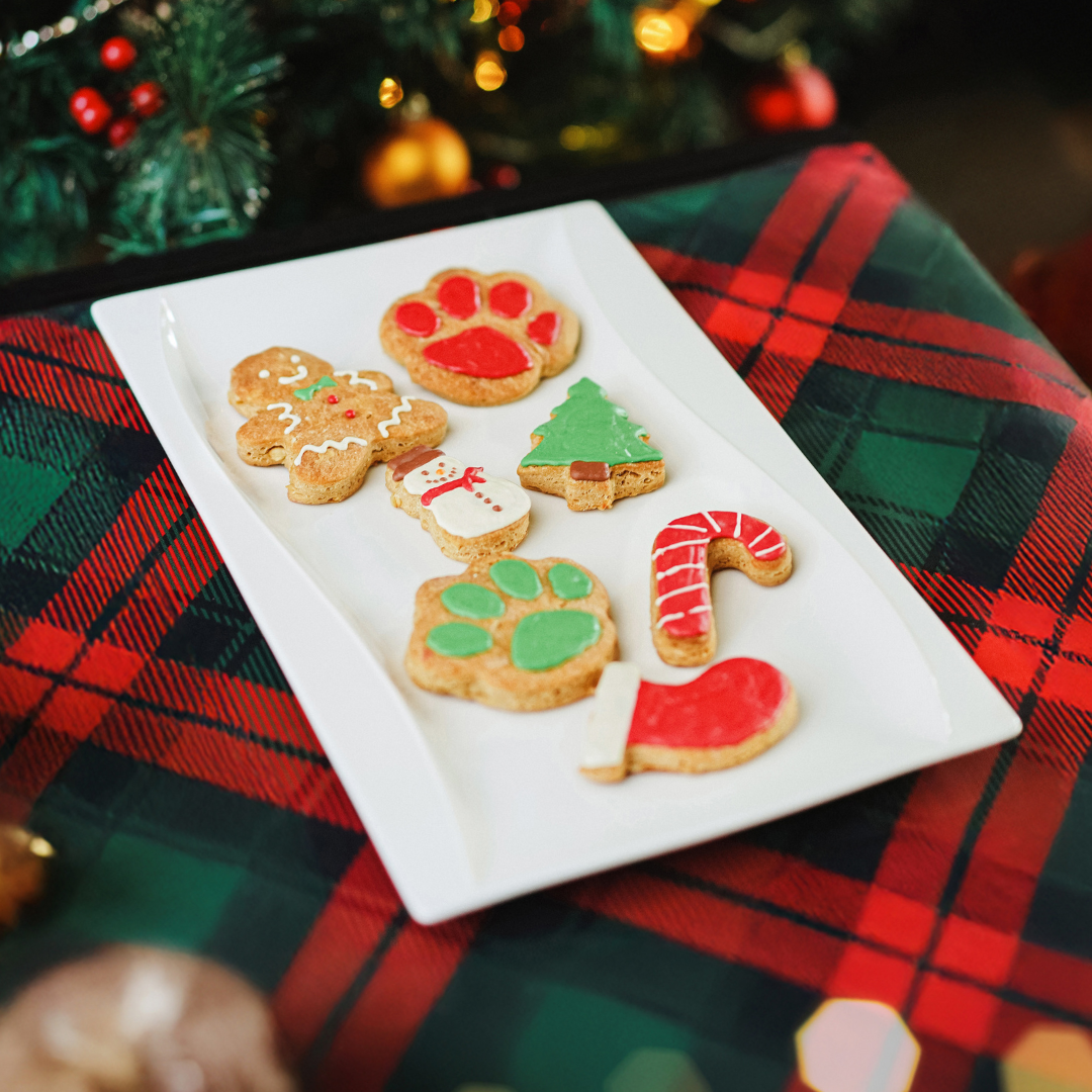 Christmas Dog Cookies