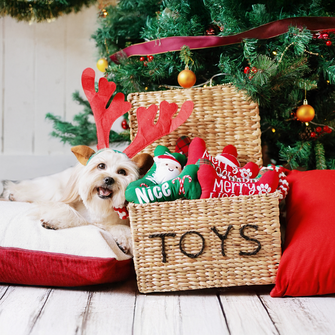 Christmas Dog Toys