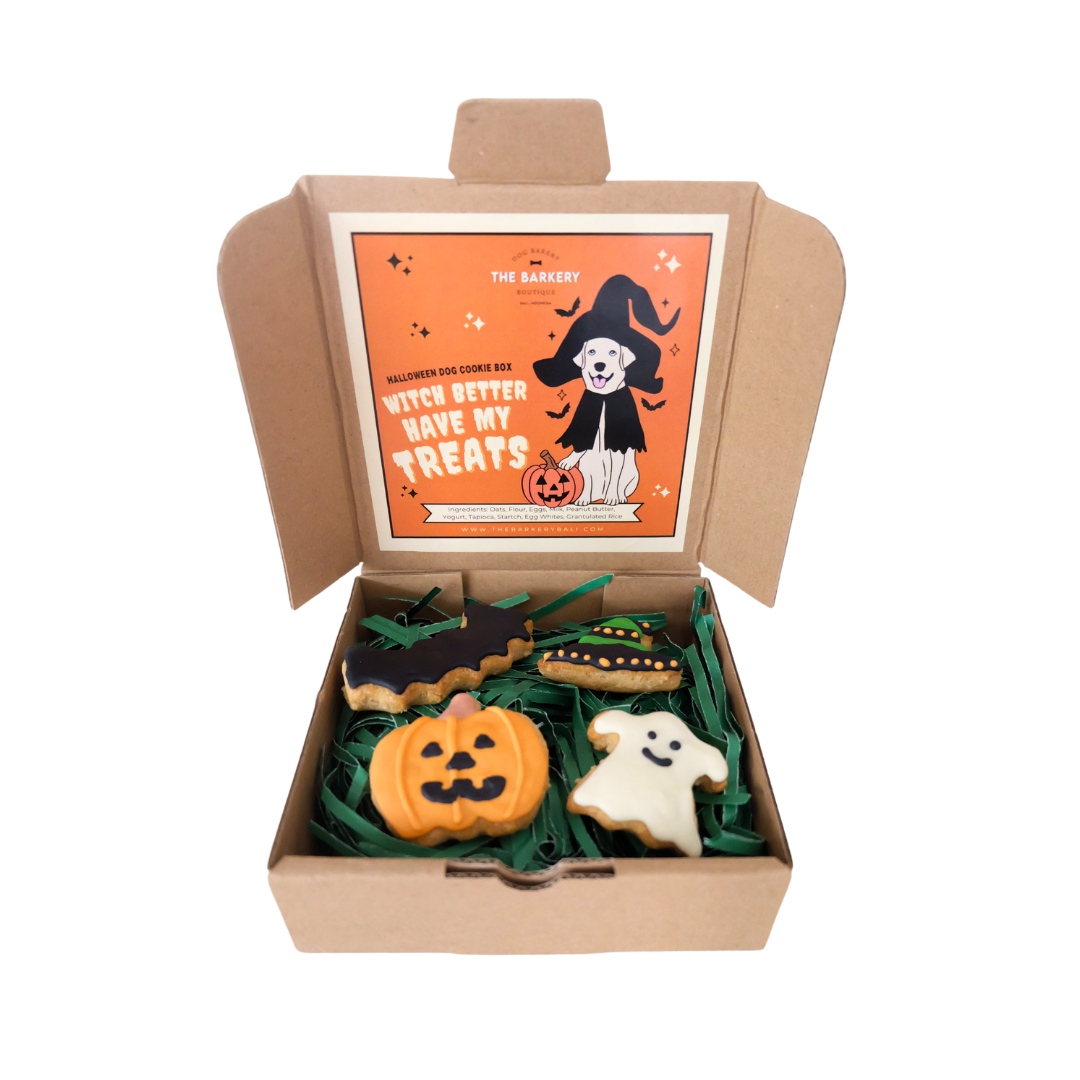 Witch Better Have My Treats (Halloween Dog Cookie Box)