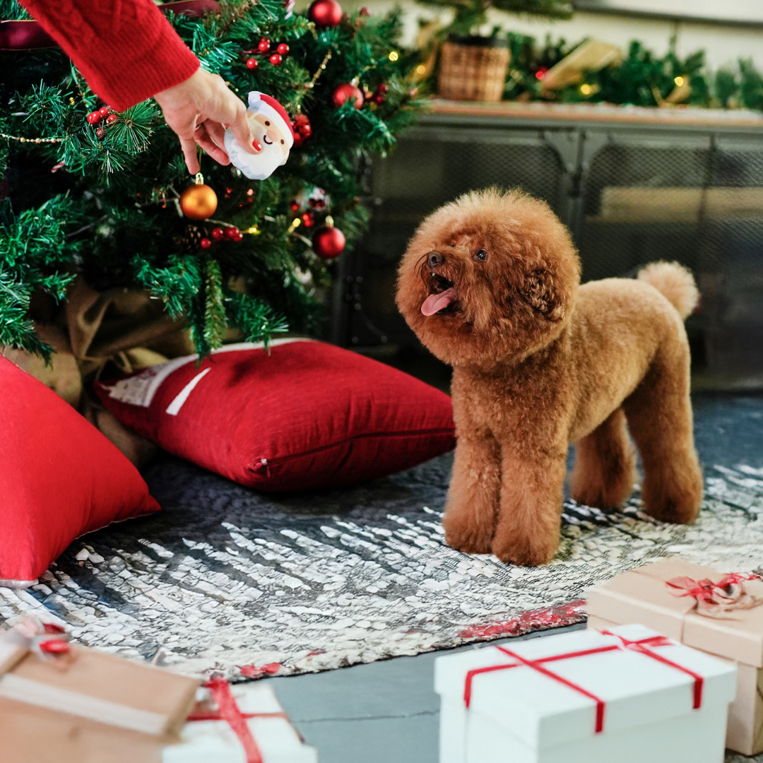 Christmas Dog Toys