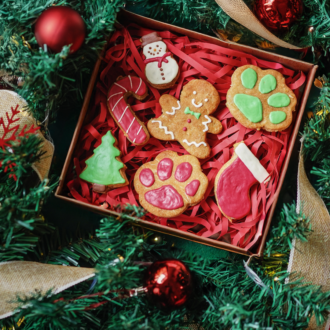 Christmas Dog Cookies